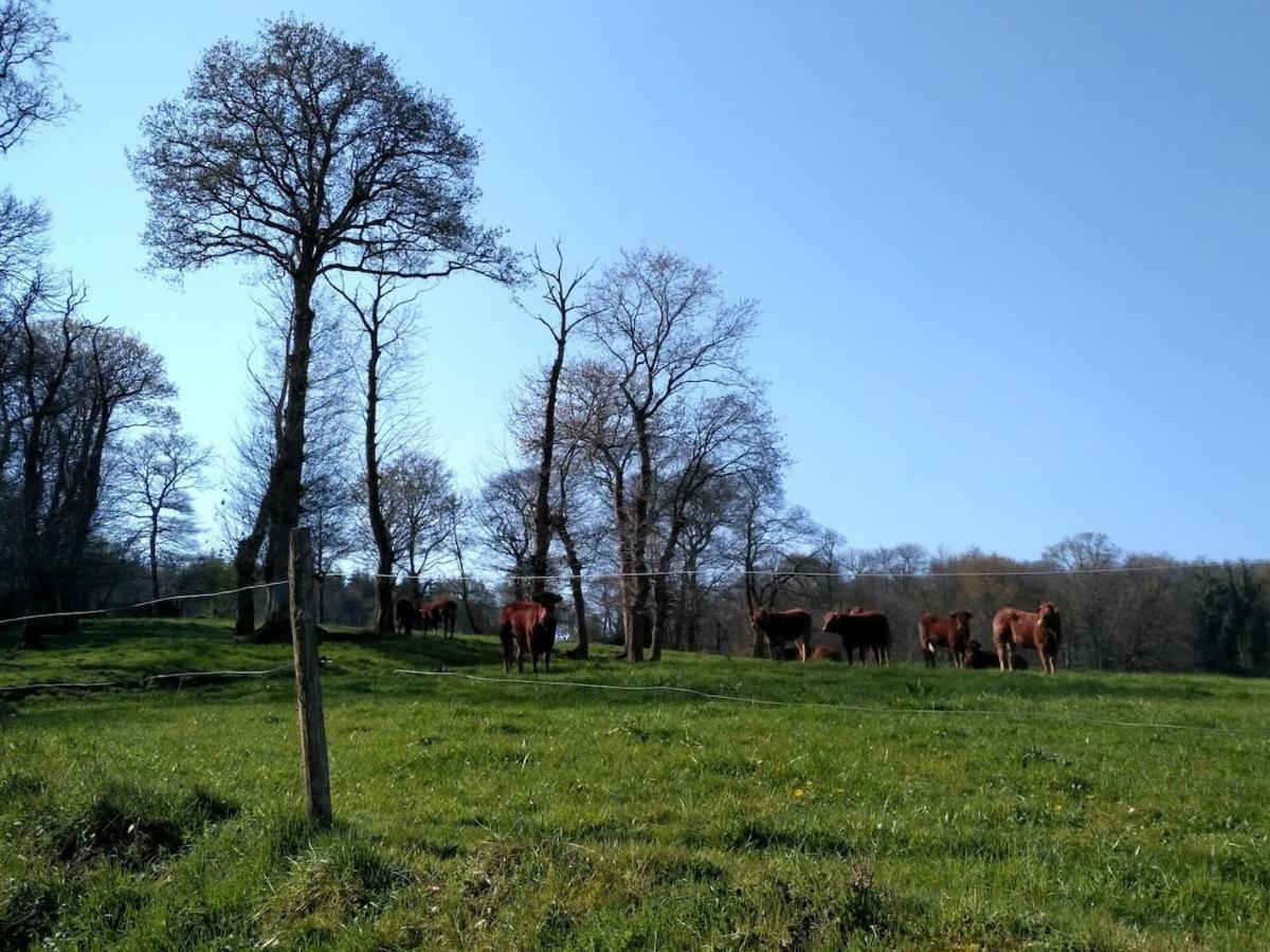 Gite Le Valet, T2 Classe 3 Etoiles, Entre Rennes Et Saint-Malo La Chapelle-aux-Filzméens 外观 照片